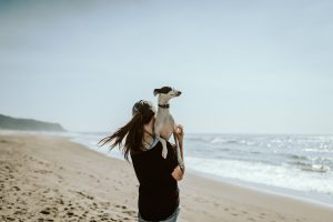 éleveurs chiens de race